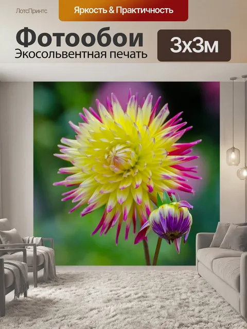 Фотообои Цветы