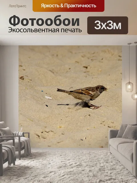 Фотообои Воробей на пляже