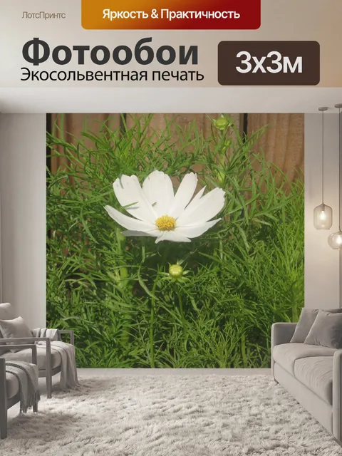Фотообои Белый Космос