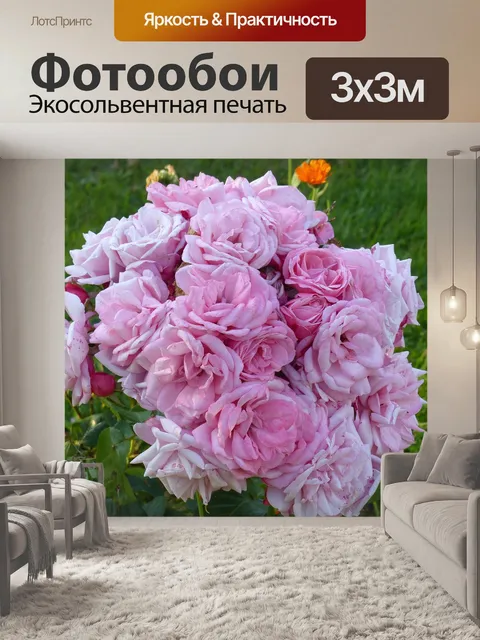 Фотообои Розы