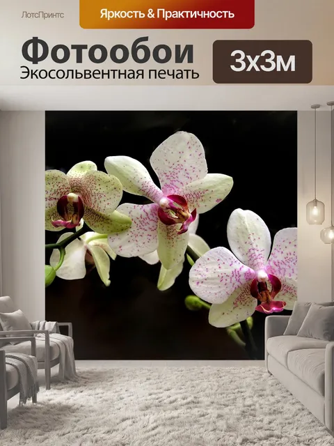 Фотообои Цветок