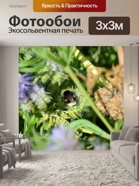 Фотообои Пчела