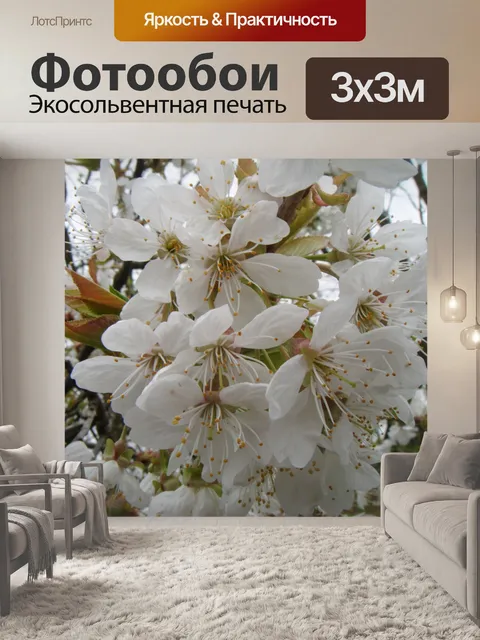 Фотообои Дикий цветок вишни