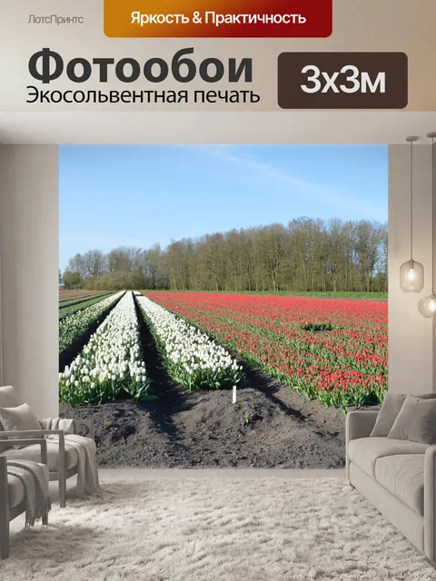 Фотообои Тюльпан поля