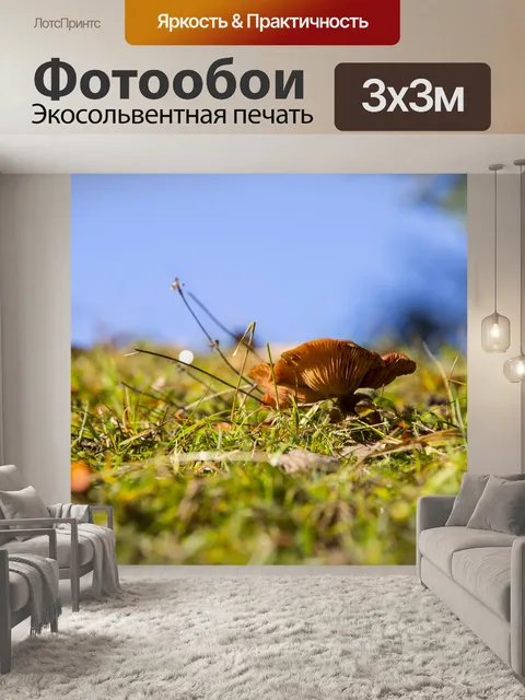 Фотообои грибы