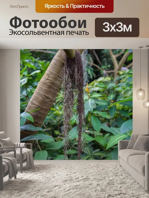 Фотообои Природа
