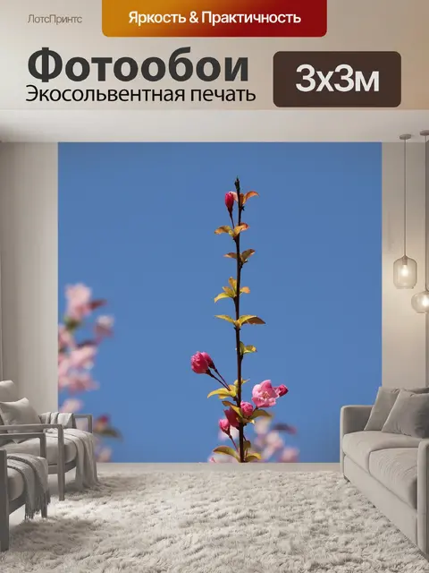 Фотообои Природа