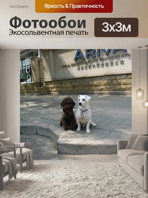 Фотообои Городские собаки