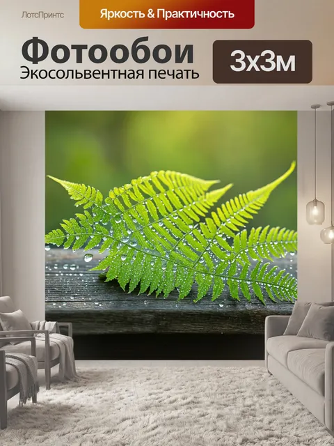 Фотообои с папоротником, лежащим на деревянной поверхности, залитом утренним солнцем, с каплями росы на листьях