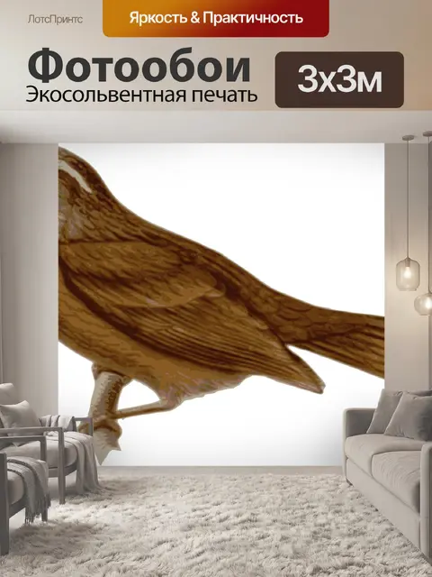 Фотообои Воробей