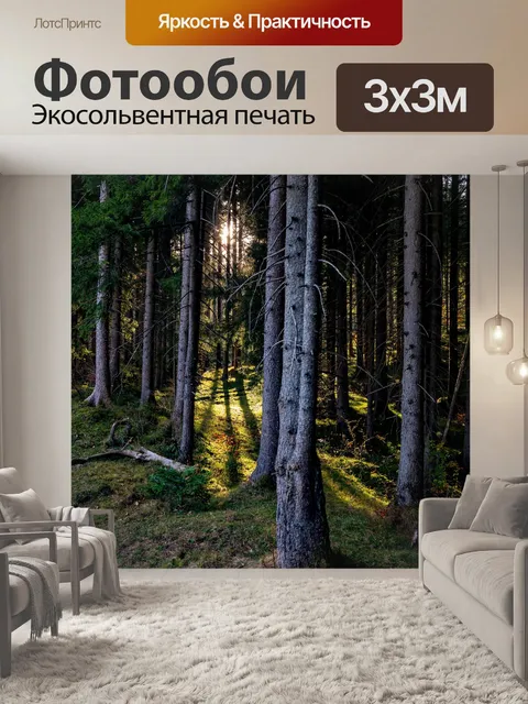 Фотообои Солнечные лучи