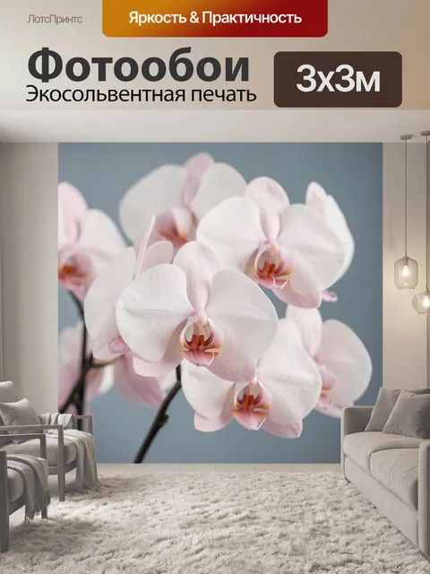 Фотообои Нежные белые орхидеи