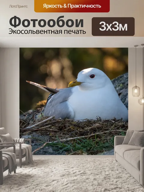 Фотообои Природа