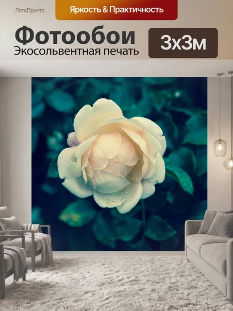 Фотообои Розы