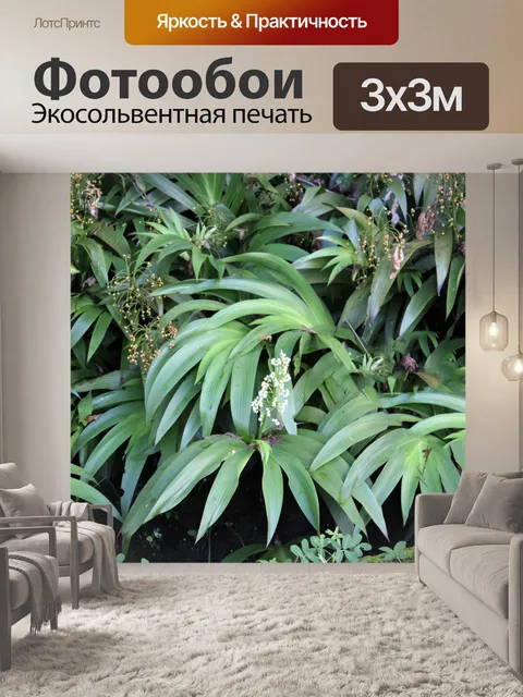 Фотообои Белый цветок с длинными листьями