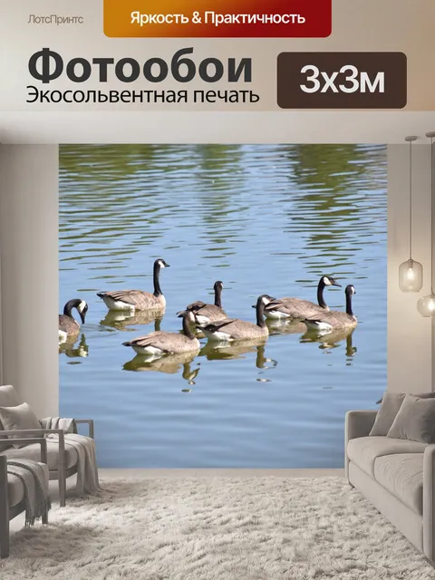 Фотообои Канада гуси Gaggle