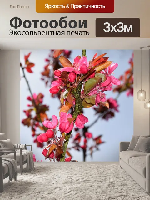 Фотообои Весна