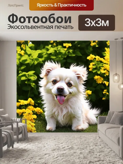 Фотообои маленькая, пушистая собачка, с ярким белым мехом, излучает невинность, когда нежно вытягивает свой язык…