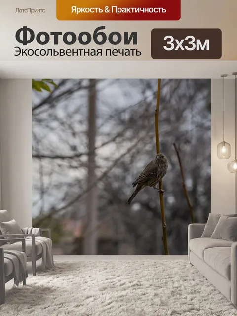 Фотообои Женский Дом Финч