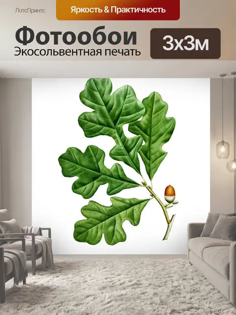 Фотообои Дубовый лист листва роспись искусства