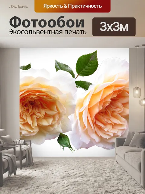 Фотообои Розы