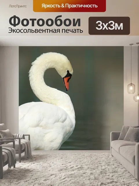 Фотообои Птица