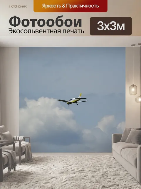 Фотообои Самолет