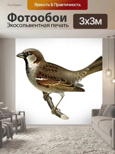 Фотообои Винтажная художественная иллюстрация пти