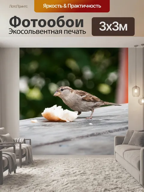 Фотообои Воробей
