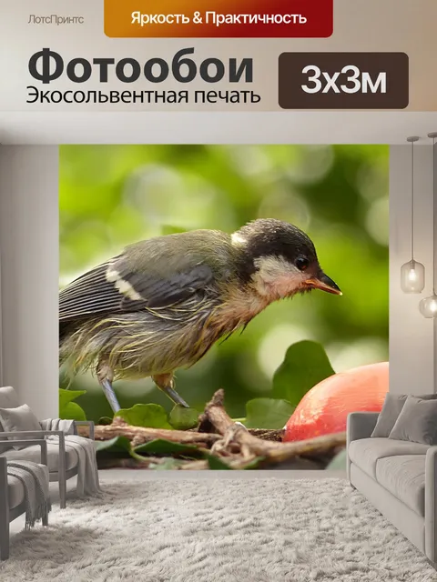 Фотообои Птица