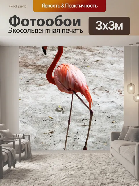 Фотообои Птица