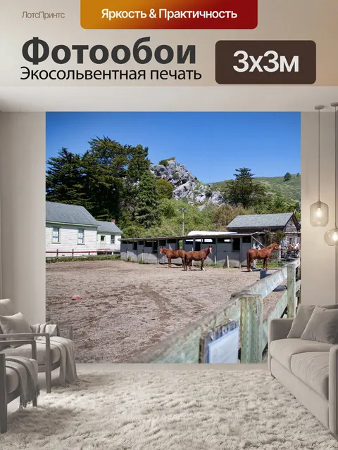 Фотообои Верховая езда