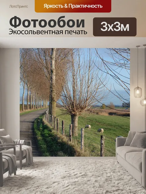 Фотообои Деревья