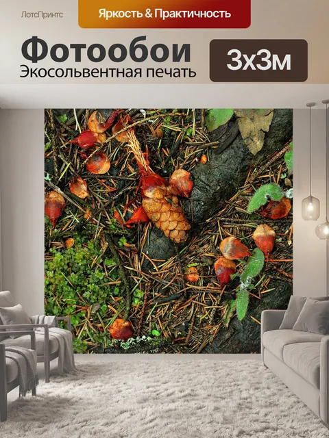 Фотообои Лес