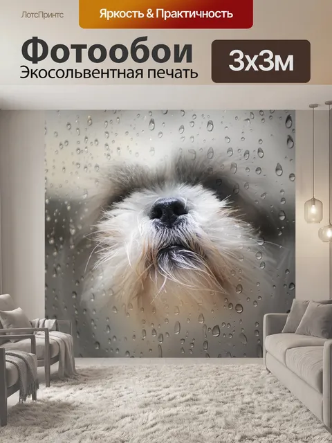 Фотообои Талисман