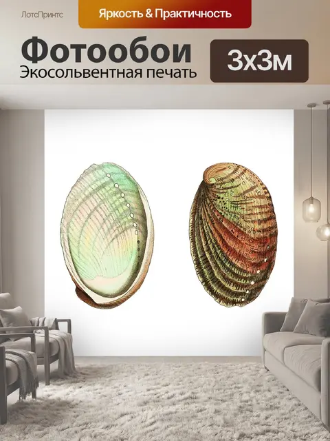 Фотообои Ракушка старинное искусство старый