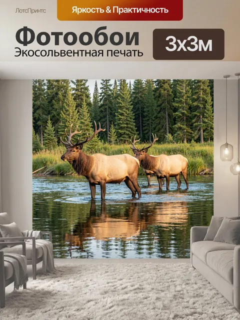 Фотообои Лоси в лесной реке