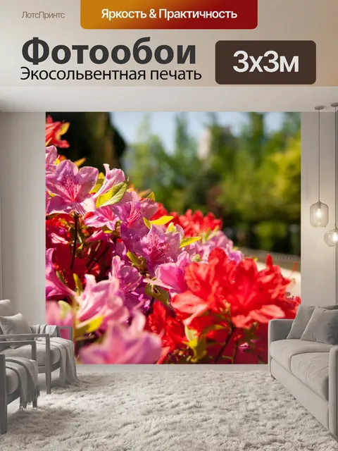 Фотообои Цветок