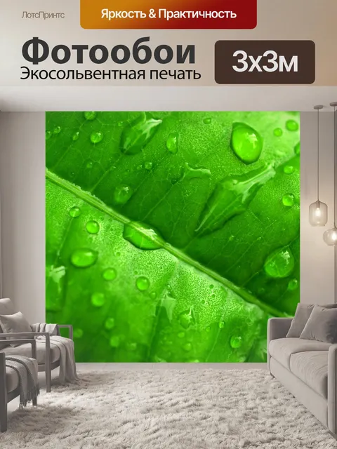 Фотообои Капля воды на листе