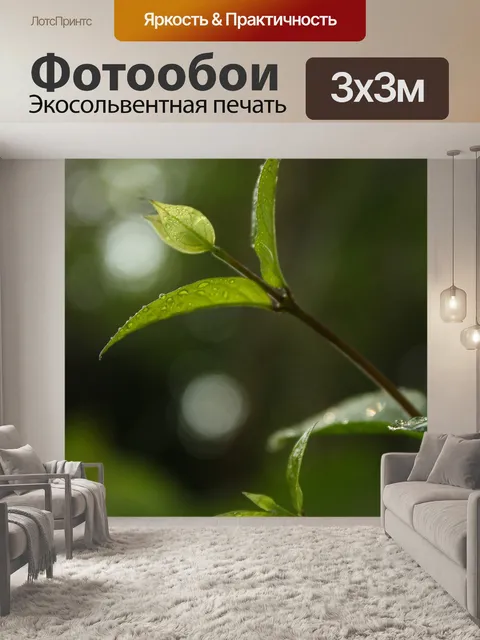 Фотообои Листья