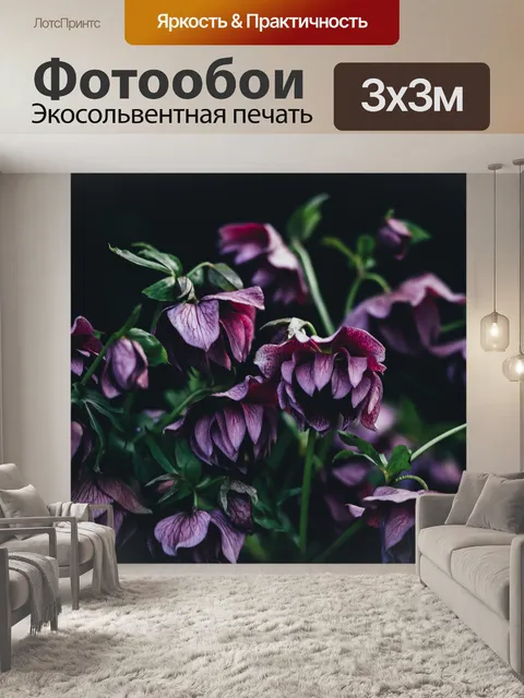 Фотообои Темный