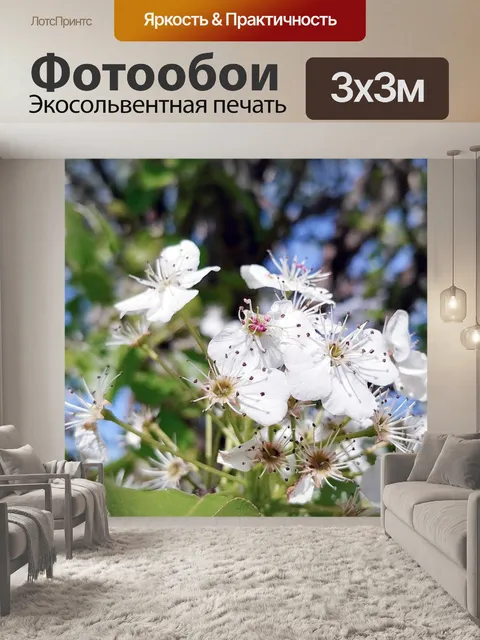 Фотообои Цветы