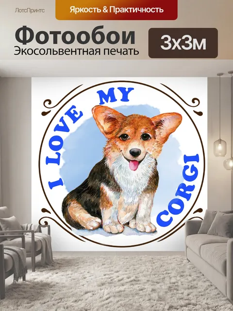 Фотообои Плакат с собакой корги