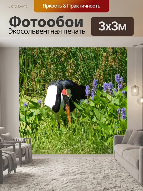 Фотообои Saddlebill Аист