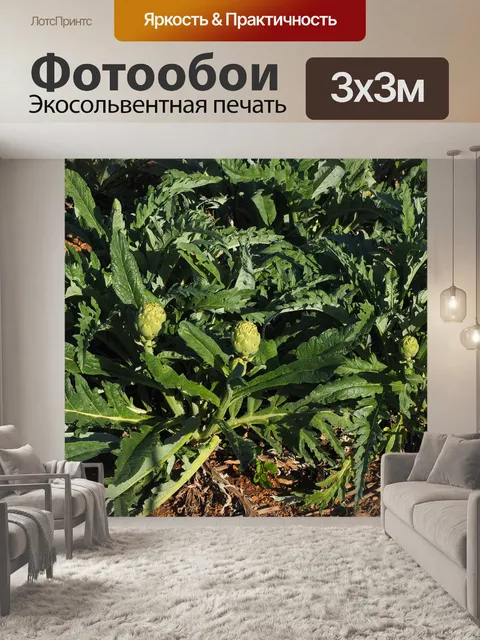 Фотообои Поле