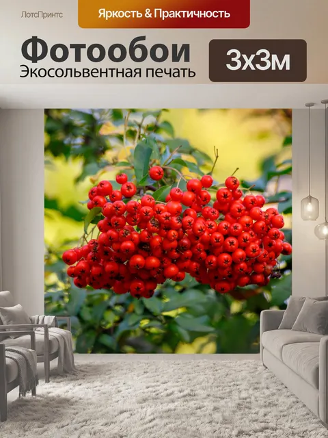 Фотообои Ботанический сад в Быдгоще