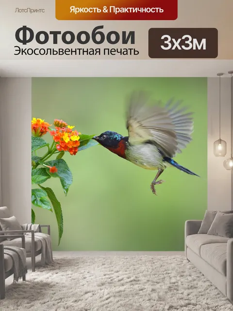 Фотообои Mật hút чим