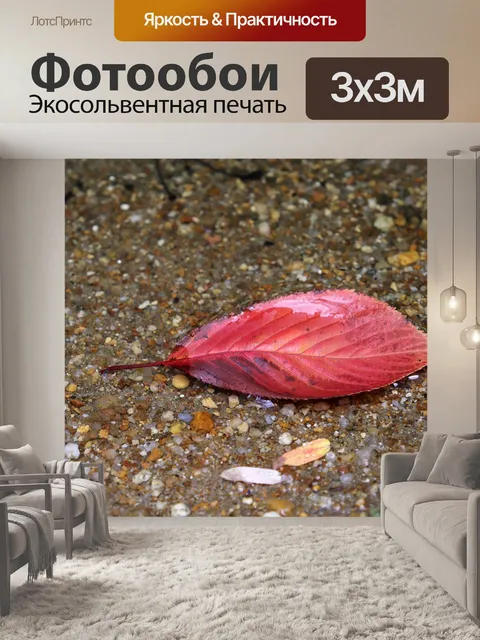 Фотообои Лист