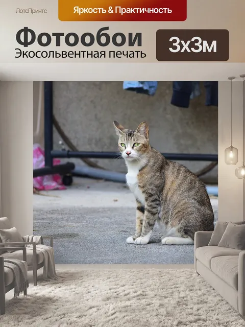Фотообои Кошка