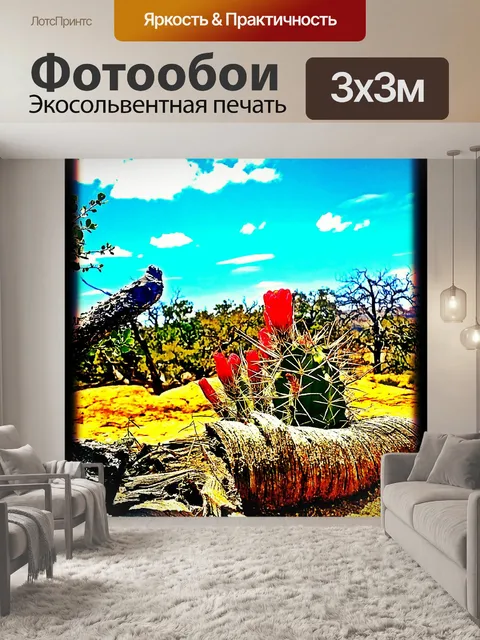 Фотообои Кактус цветы